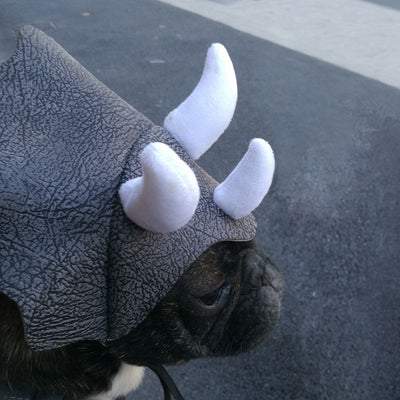 Gorro Dinosaurio Triceratops para Mascotas - Disfraz Divertido para Perros y Gatos - Image 3
