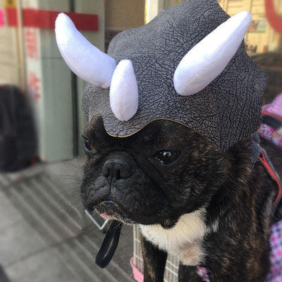 Gorro Dinosaurio Triceratops para Mascotas - Disfraz Divertido para Perros y Gatos
