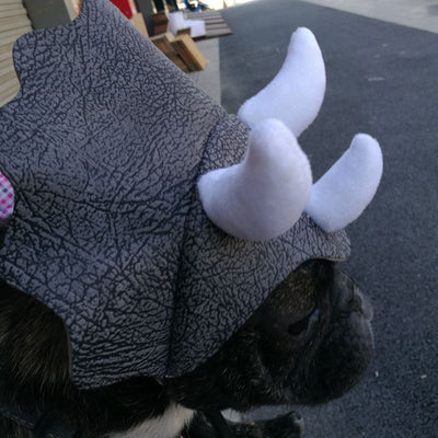 Gorro Dinosaurio Triceratops para Mascotas - Disfraz Divertido para Perros y Gatos - Image 5