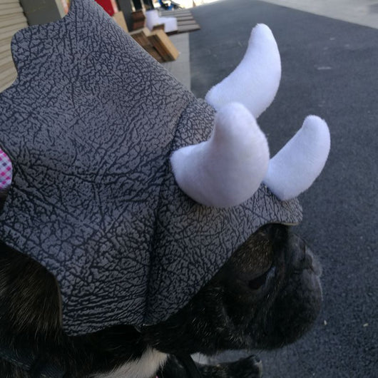 Gorro Dinosaurio Triceratops para Mascotas - Disfraz Divertido para Perros y Gatos - Image 5