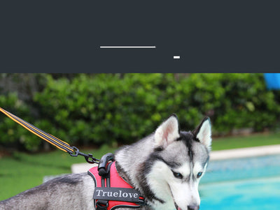 Arnés Pectoral para Perros Medianos y Grandes - Sistema de Paseo Seguro con Cuerda Okinawa - Image 12