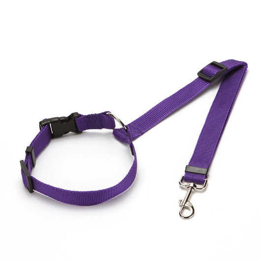 Cinturón de Seguridad Dual para Mascotas en Auto - Arnés y Correa 2 en 1 - Image 10