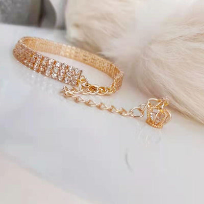 Collar de Cadena Dorada para Mascotas con Diamantes Resistente al Desteñimiento - Image 14