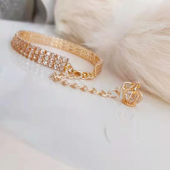 Collar de Cadena Dorada para Mascotas con Diamantes Resistente al Desteñimiento