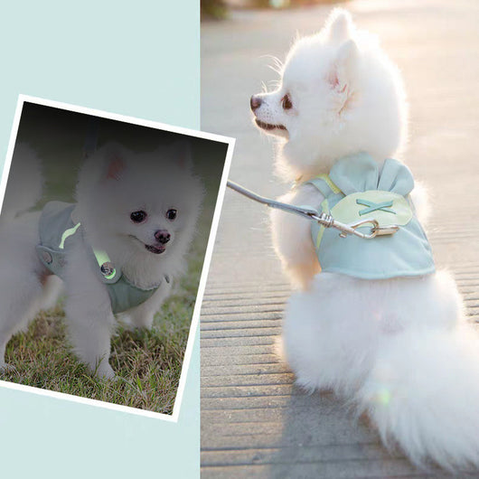 Arnés Chaleco de Tracción para Perros Pequeños - Image 9