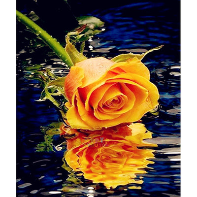 Rosa Amarilla con Reflejo en Agua - Image 8