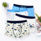 Calzoncillos Boxer de Algodón para Niños