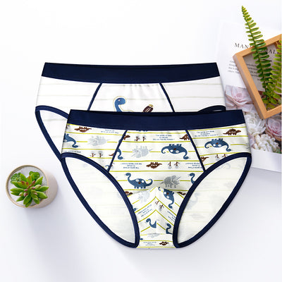 Calzoncillos Boxer de Algodón para Niños - Image 5