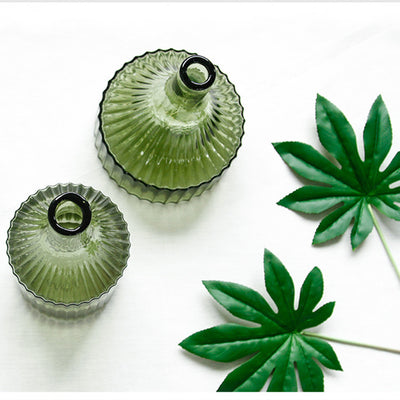 Florero de Vidrio con Rayas Verdes para Flores y Cultivo Hidropónico - Image 13
