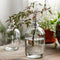 Arreglo Floral Hidropónico con Flores Preservadas para Sala de Estar