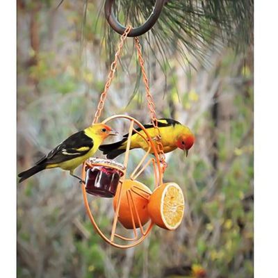 Comedero y Bebedero para Pájaros Silvestres - Image 7