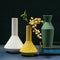 Florero Decorativo Morandi para Sala - Arreglos Florales Elegantes