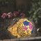 Luz Solar de Jardín Suculenta Erizo