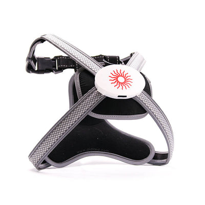 Arnés LED Retráctil para Perro con Cuerda de Tracción - Image 11