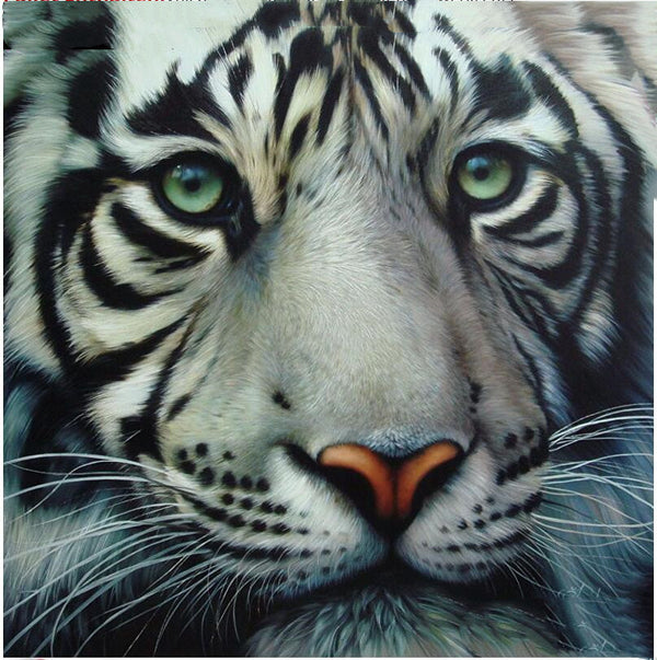 Pintura de Diamantes 5D Tigre - Kit Completo de Bordado y Punto de Cruz 3D