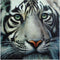 Pintura de Diamantes 5D Tigre - Kit Completo de Bordado y Punto de Cruz 3D