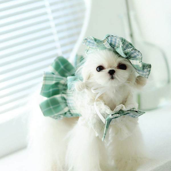 Vestido Escocés JK para Mascotas con Lazo y Pliegues
