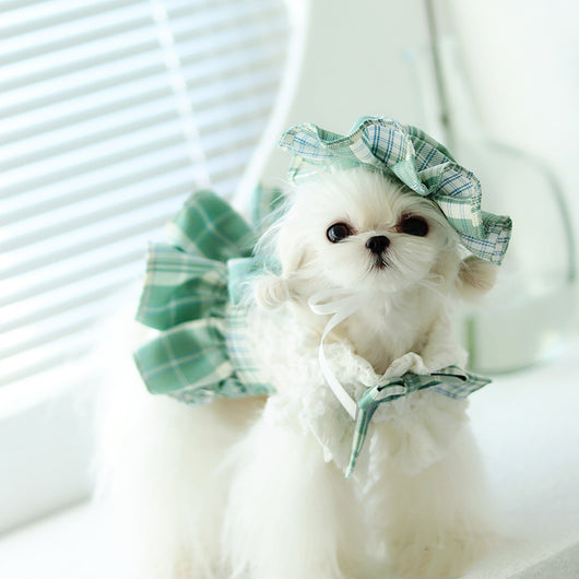 Vestido Escocés JK para Mascotas con Lazo y Pliegues