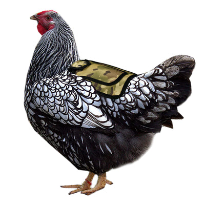 Protector Ajustable para Gallinas - Chaleco de Plumas Exterior - Image 8