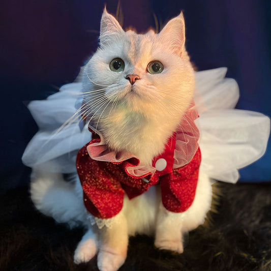 Vestido Elegante para Gatas - Tutu Princesa con Diseño de Boda - Image 2