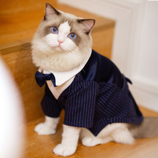 Traje Formal para Perros y Gatos - Elegancia Gentleman para Mascotas - Image 4