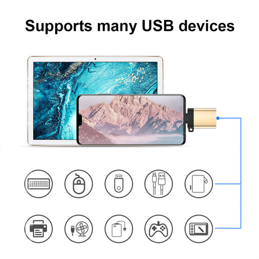 Adaptador USB-C a USB 3.0 Hembra con Cadena de Seguridad - Image 17
