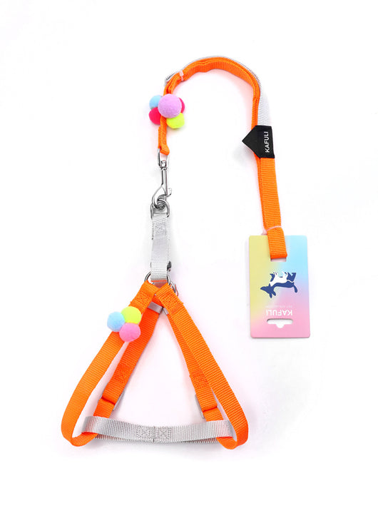Arnés de Paseo Colorido con Cuerda de Tracción para Gatos y Perros Pequeños - Image 8