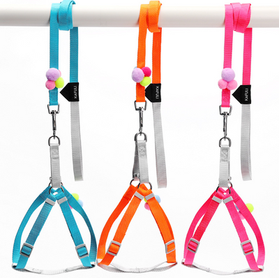Arnés de Paseo Colorido con Cuerda de Tracción para Gatos y Perros Pequeños - Image 11