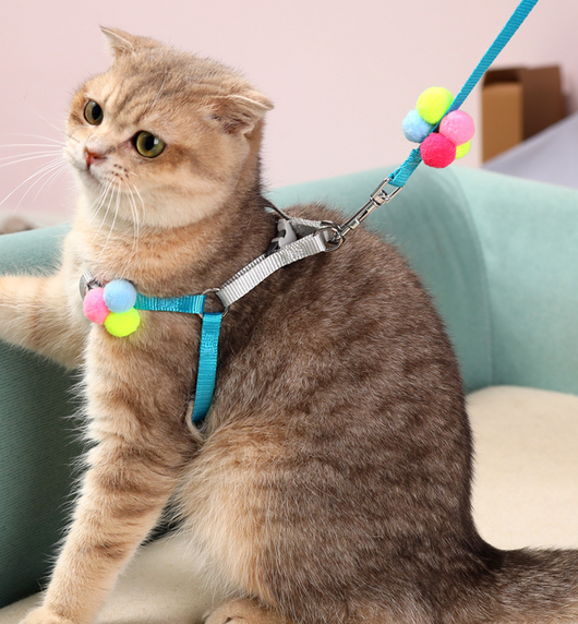 Arnés de Paseo Colorido con Cuerda de Tracción para Gatos y Perros Pequeños - Image 14