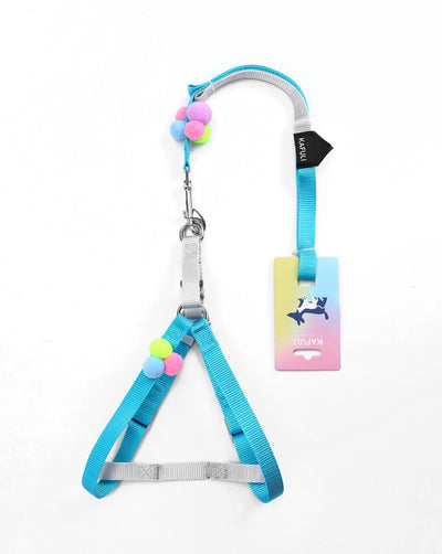 Arnés de Paseo Colorido con Cuerda de Tracción para Gatos y Perros Pequeños - Image 2