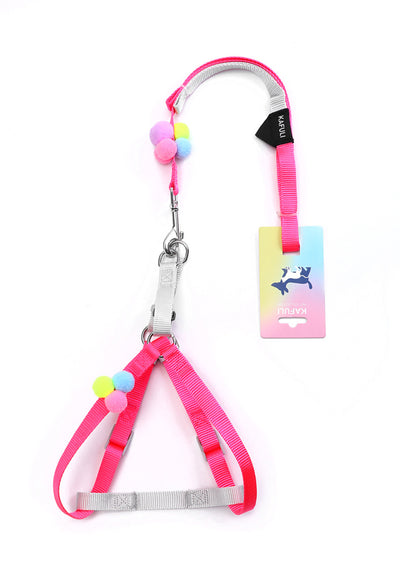 Arnés de Paseo Colorido con Cuerda de Tracción para Gatos y Perros Pequeños - Image 4