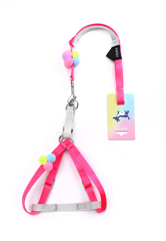 Arnés de Paseo Colorido con Cuerda de Tracción para Gatos y Perros Pequeños - Image 4