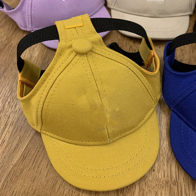 Gorra de Béisbol para Mascotas - Diseño Teddy Schnauzer Viral - Image 14