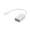 Adaptador Lightning a USB OTG para iPhone y iPad