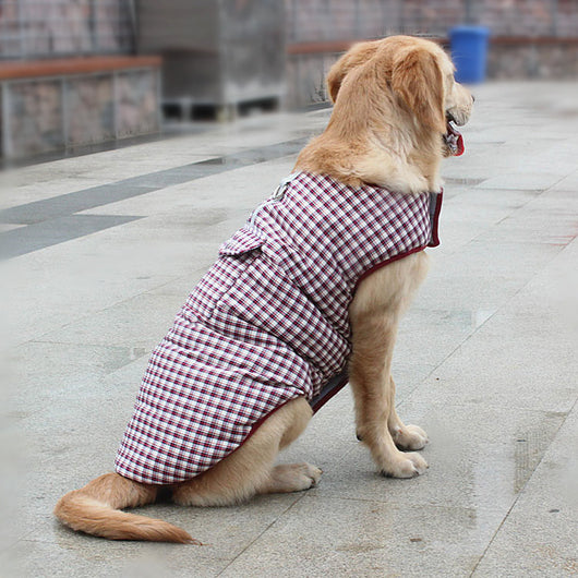 Chaleco Impermeable para Perros - Abrigo Térmico para Mascotas Pequeñas, Medianas y Grandes - Image 6