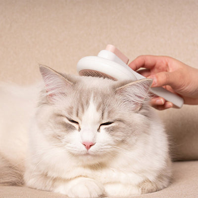 Cepillo Masajeador Automático para Perros y Gatos - Removedor de Pelo Pet - Image 12