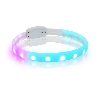 Collar LED Recargable para Perros Anti-Pérdida con Carga USB - Image 11