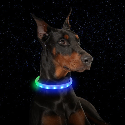 Collar LED Recargable para Perros Anti-Pérdida con Carga USB - Image 3