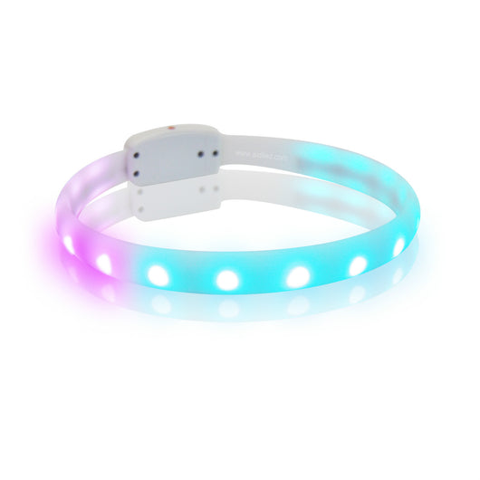 Collar LED Recargable para Perros Anti-Pérdida con Carga USB - Image 4