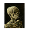 Kit de Pintura por Números - Calavera Humeante