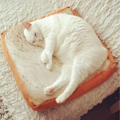 Cojín Peluche Tostada de Pan - Almohada Suave para Estudiantes y Mascotas - Image 7