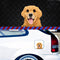 Adhesivo Decorativo para Auto - Perro Shar Pei y Dachshund Protector de Rayones
