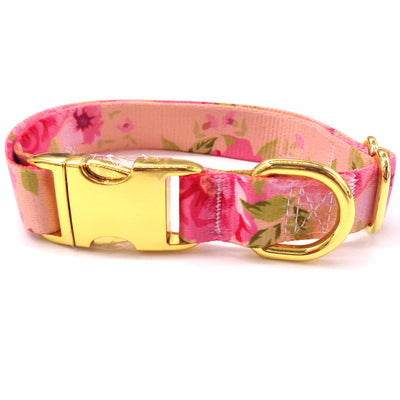 Collar para Perro con Hebilla Dorada y Lettering Personalizado - Image 8