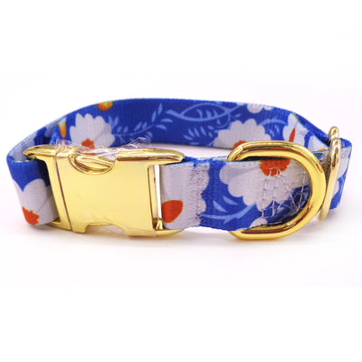 Collar para Perro con Hebilla Dorada y Lettering Personalizado - Image 6