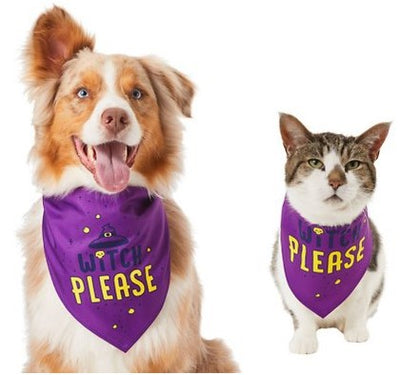 Pañuelo Triangular para Mascotas - Babero Adorable y Funcional