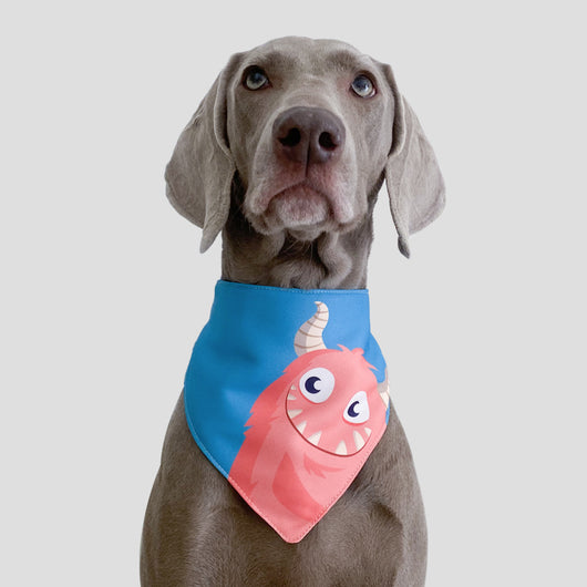 Pañuelo Triangular Absorbente de Tres Capas para Perros y Gatos - Image 6