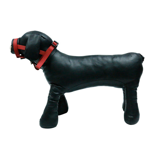 Collar Protector Anti-masticación y Cubierta Bucal para Perros - Image 10
