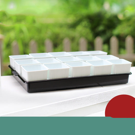 Maceta Controladora de Raíces para Suculentas y Plantas - Image 25