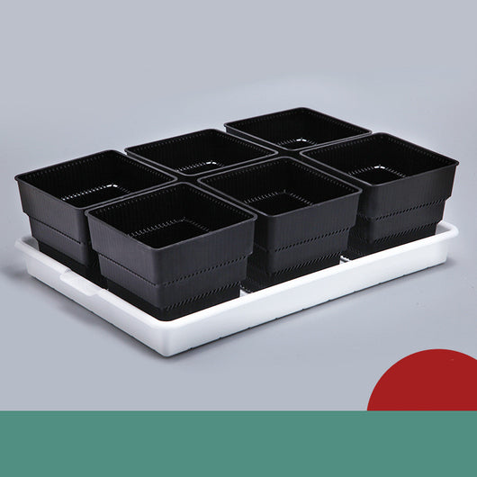 Maceta Controladora de Raíces para Suculentas y Plantas - Image 3