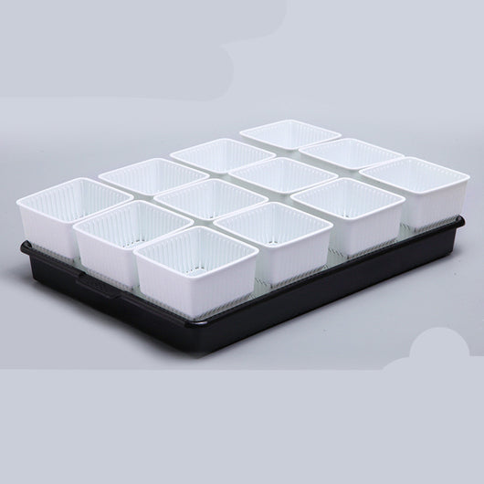 Maceta Controladora de Raíces para Suculentas y Plantas - Image 5
